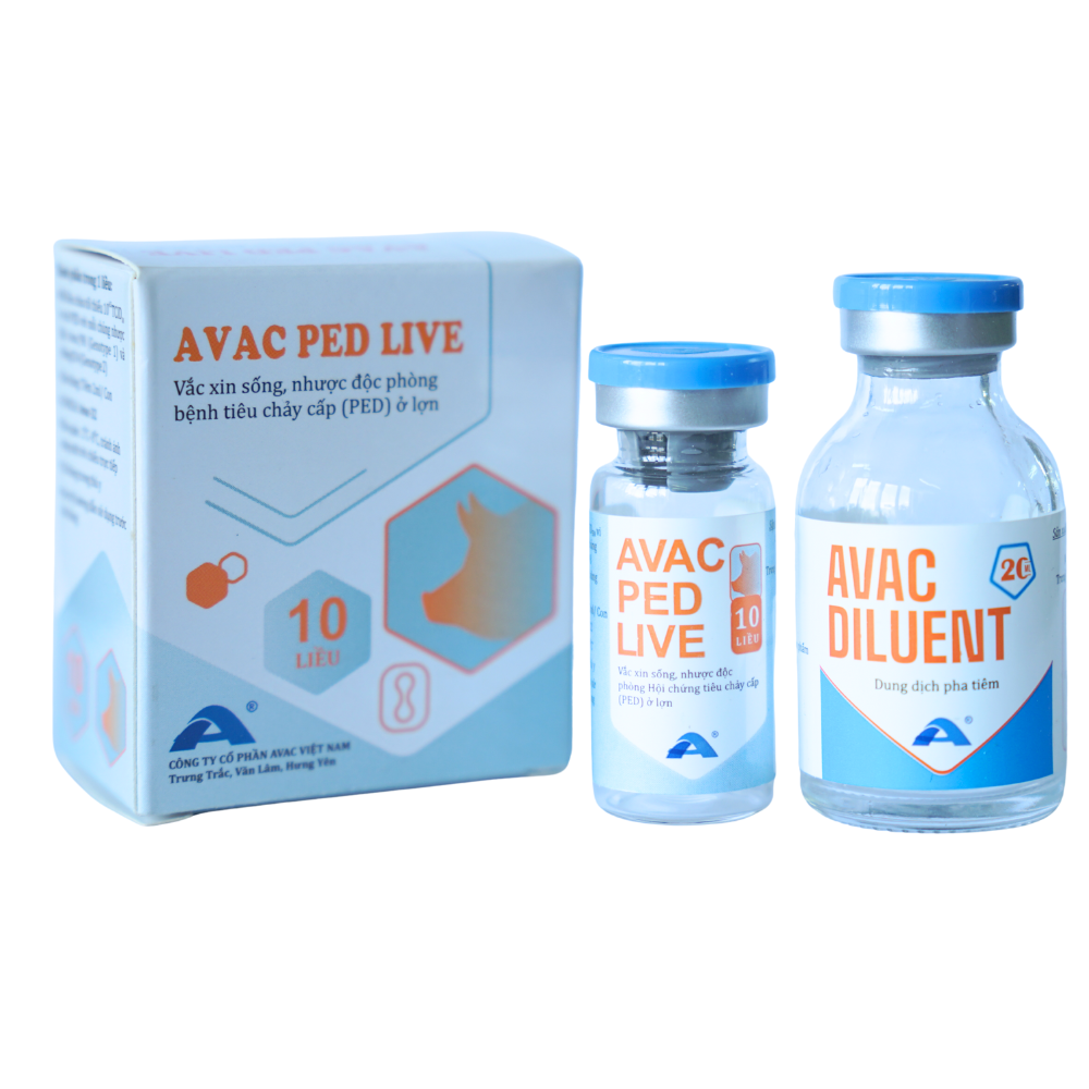AVAC PED LIVE