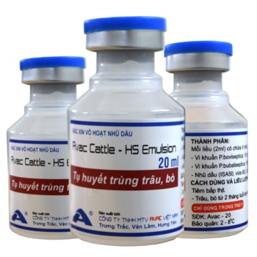 AVAC CATTLE - HS EMULSION
(Prevention of Pneumonic multocida)