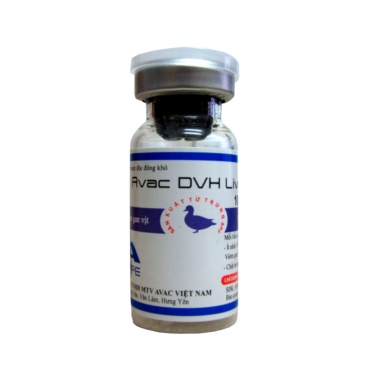 AVAC DVH LIVE
 (Viêm gan vịt Serotype I)