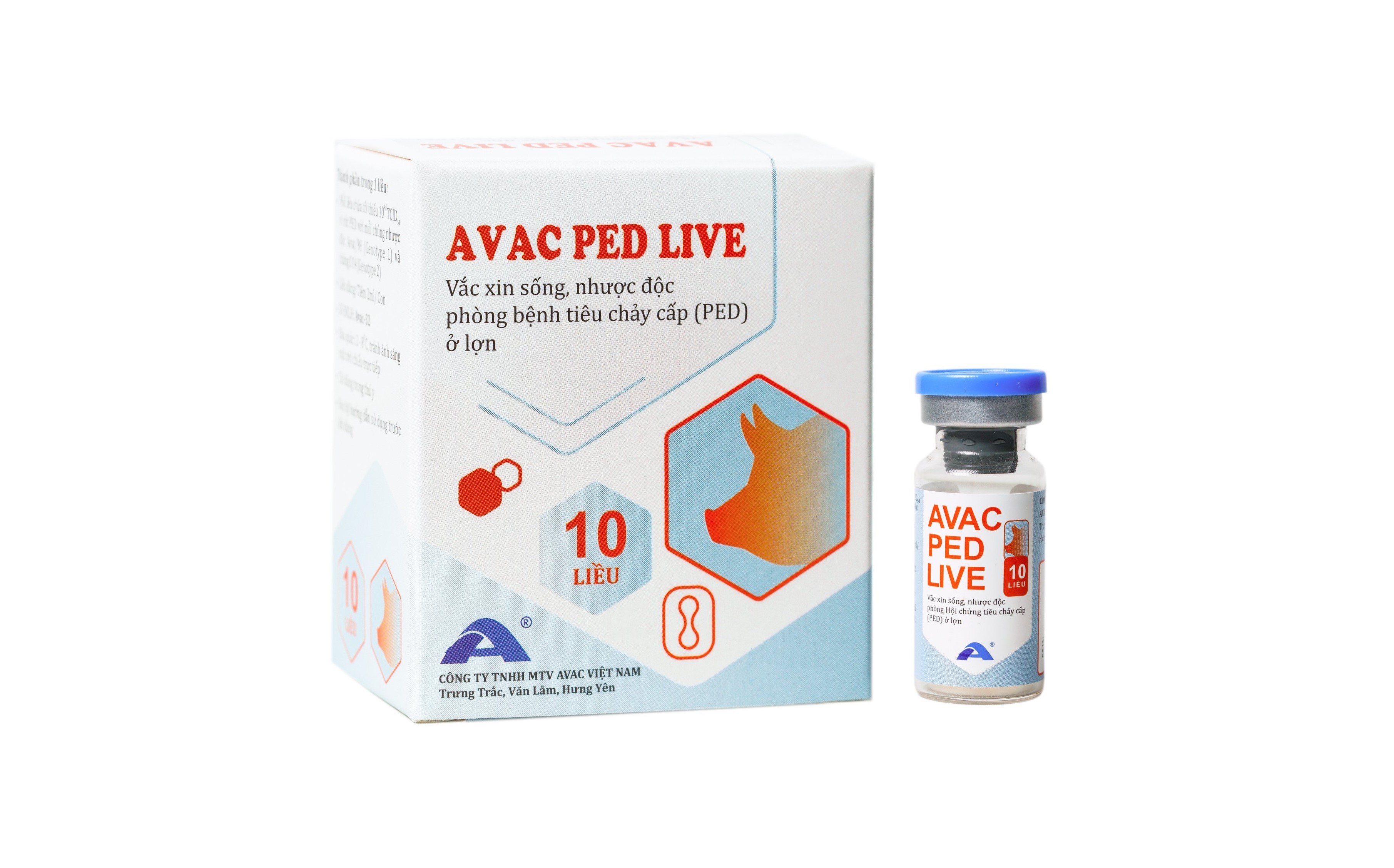 AVAC PED LIVE