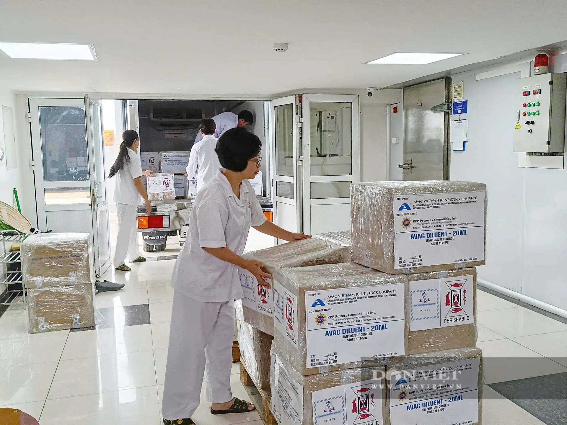 AVAC ASF LIVE – Vắc xin phòng bệnh dịch tả lợn châu Phi đầu tiên trên thế giới được thương mại hoá quốc tế