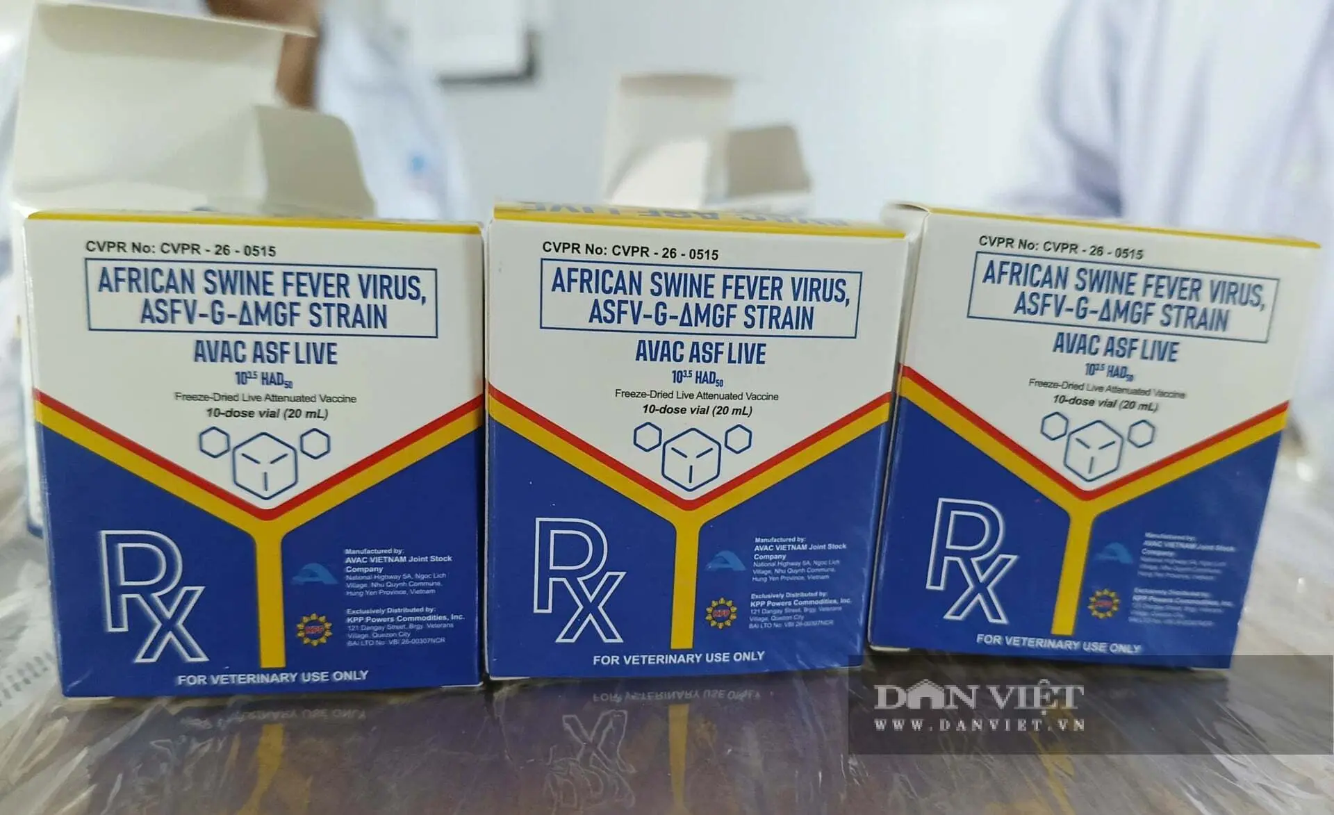 AVAC ASF LIVE – Vắc xin phòng bệnh dịch tả lợn châu Phi đầu tiên trên thế giới được thương mại hoá quốc tế