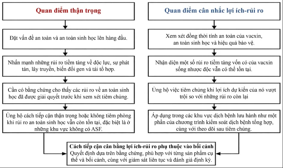 Vaccine sống nhược độc phòng ASF: Quan điểm sử dụng và định hướng chiến lược