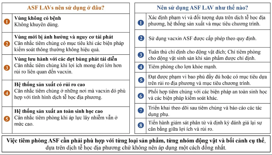 Vaccine sống nhược độc phòng ASF: Quan điểm sử dụng và định hướng chiến lược