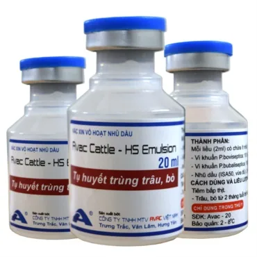 AVAC CATTLE - HS EMULSION
(Phòng bệnh Tụ huyết trùng Trâu, bò)