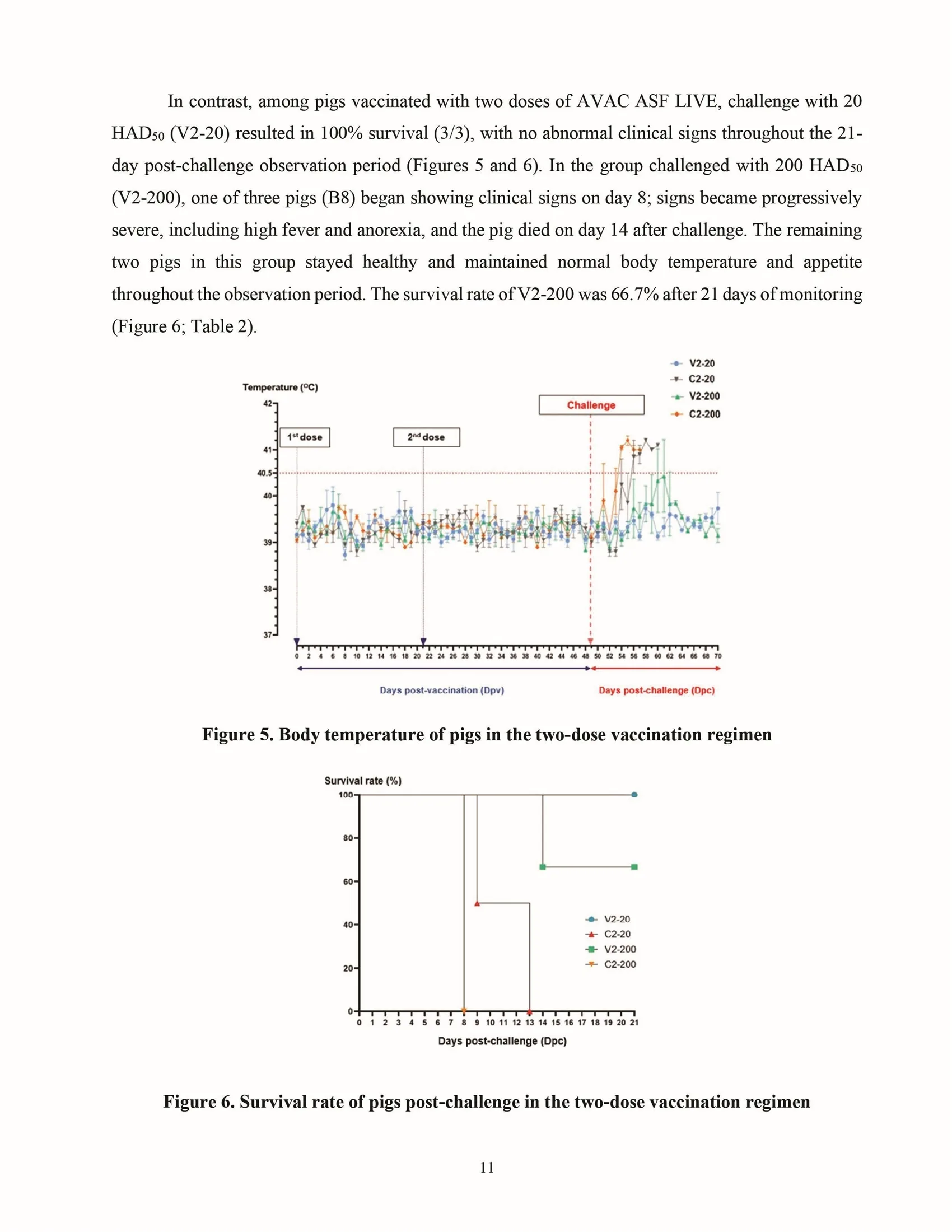 Cross-protective efficacy of the AVAC ASF LIVE vaccine against recombinant rASFV I,II strain