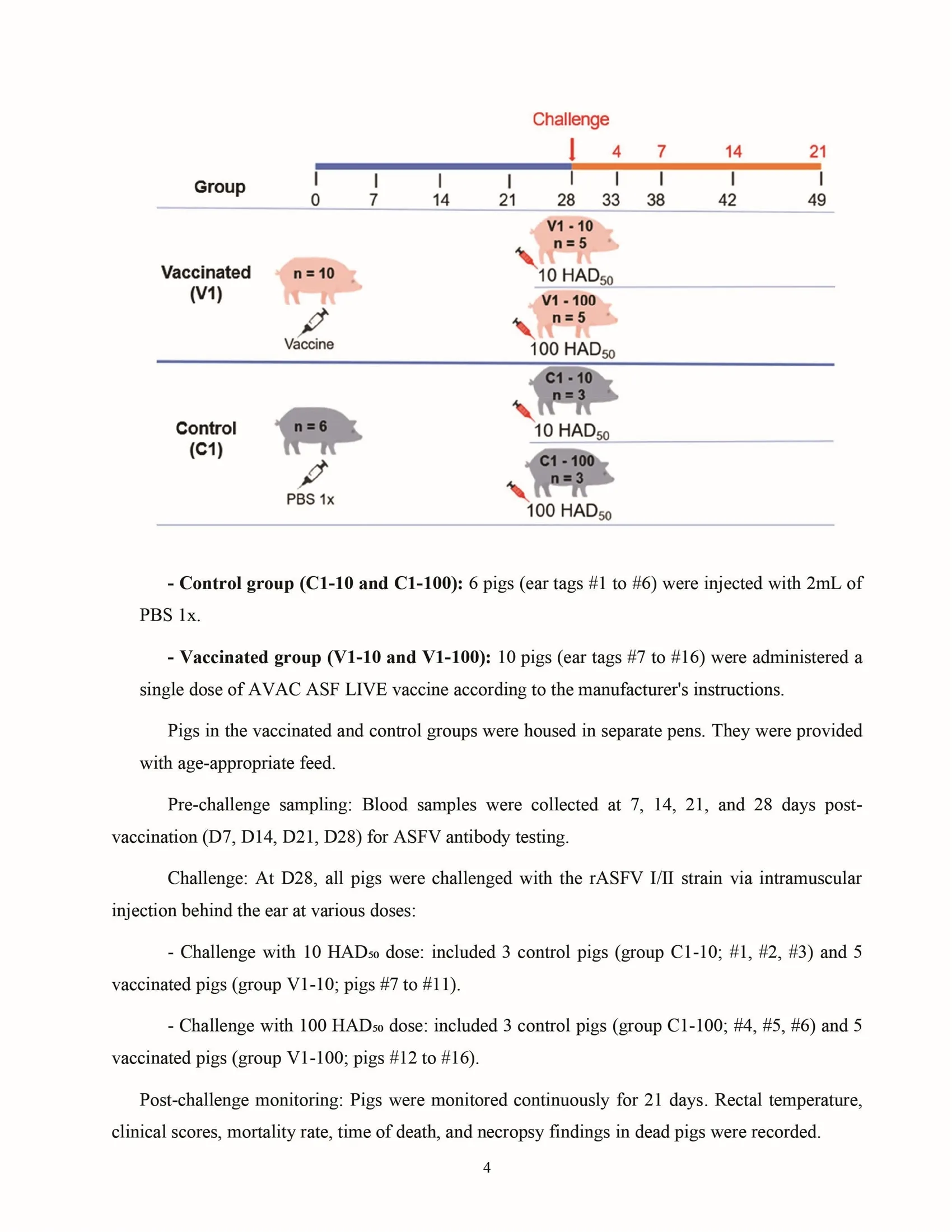 Cross-protective efficacy of the AVAC ASF LIVE vaccine against recombinant rASFV I,II strain