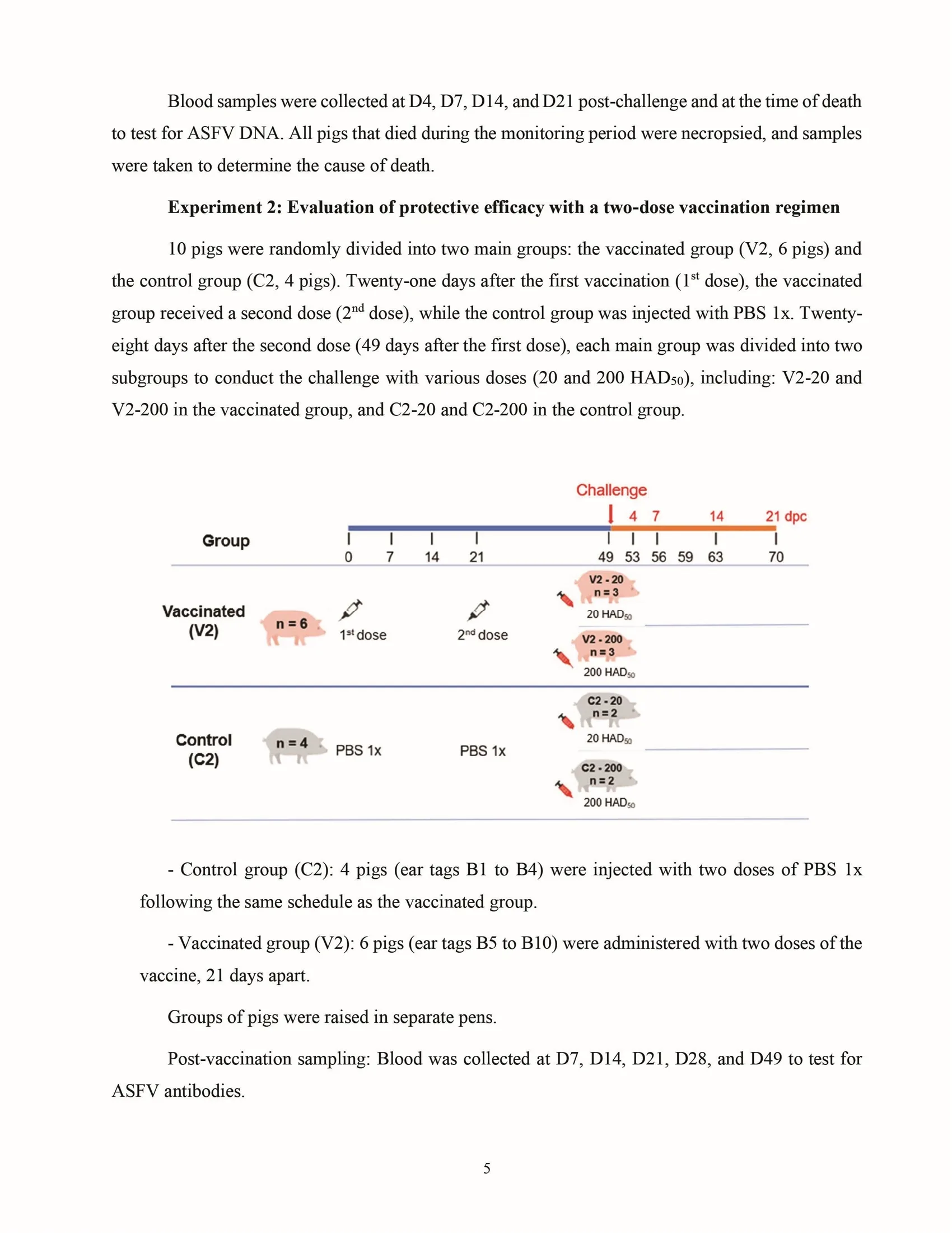 Cross-protective efficacy of the AVAC ASF LIVE vaccine against recombinant rASFV I,II strain