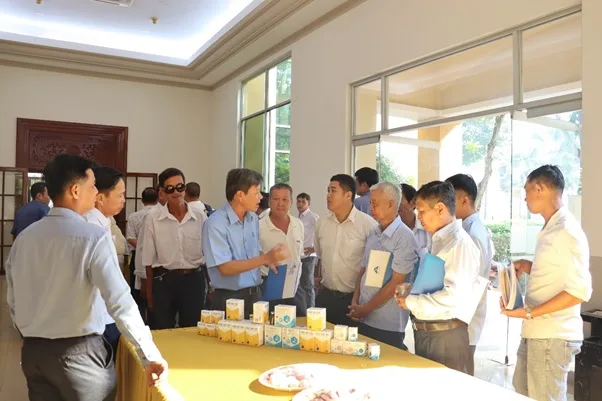 AVAC ASF LIVE – Chìa khoá vàng trong kiểm soát bệnh dịch tả lợn châu Phi