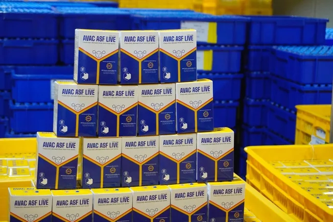 Đại diện Philippines thăm Nhà máy AVAC trước khi nhập 150.000 liều vacxin AVAC ASF LIVE
