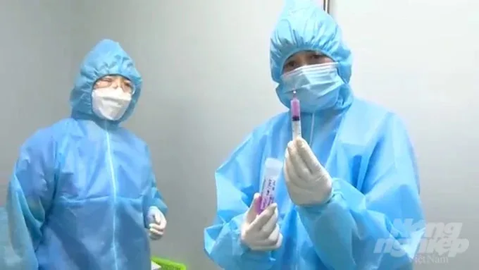 Sử dụng hiệu quả vacxin trong phòng, chống dịch bệnh động vật