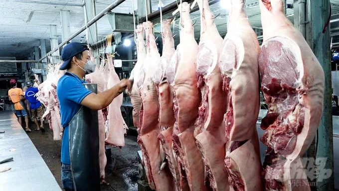 Sử dụng hiệu quả vacxin trong phòng, chống dịch bệnh động vật