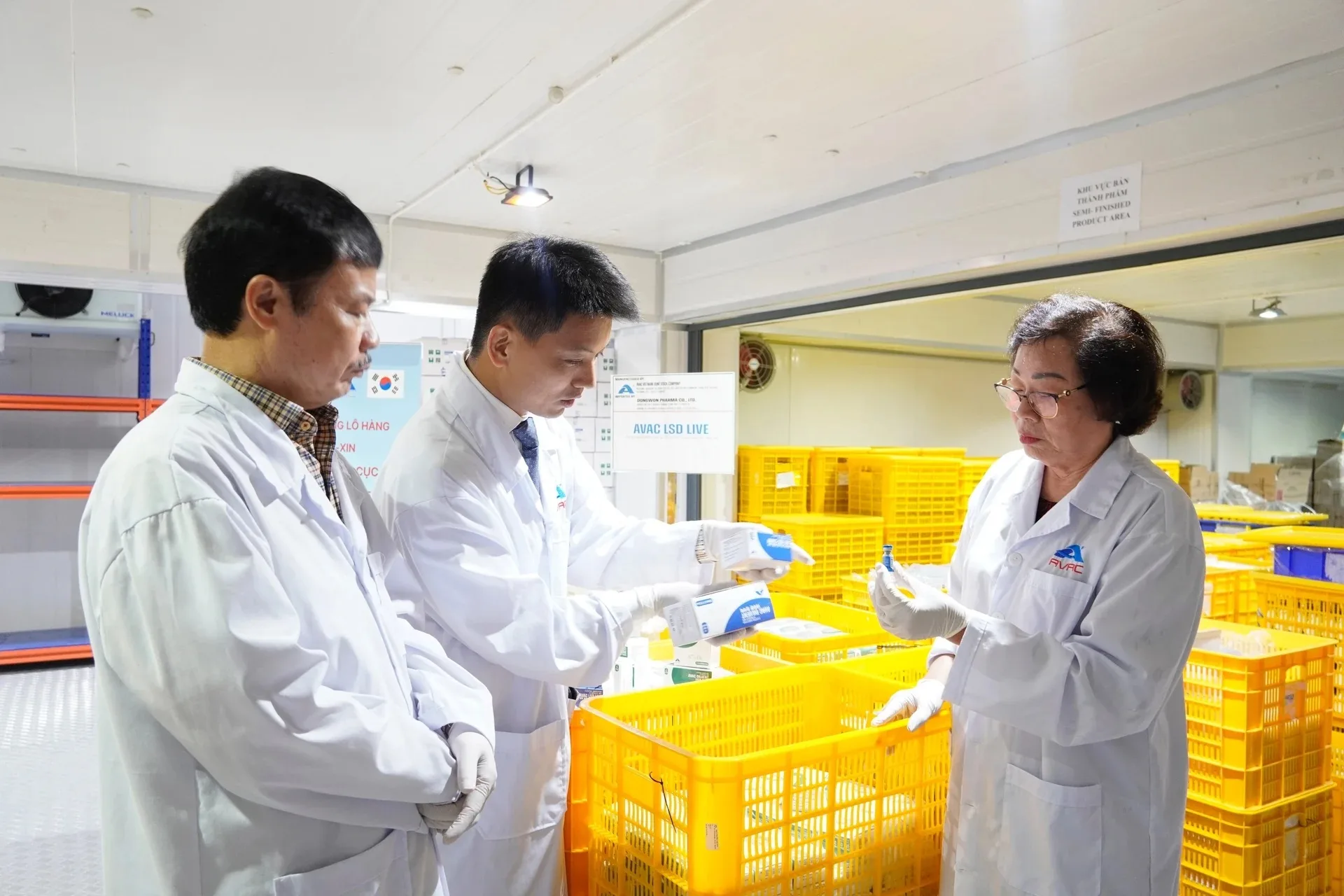 Việt Nam xuất khẩu 1,1 triệu liều vaccine viêm da nổi cục sang Hàn Quốc