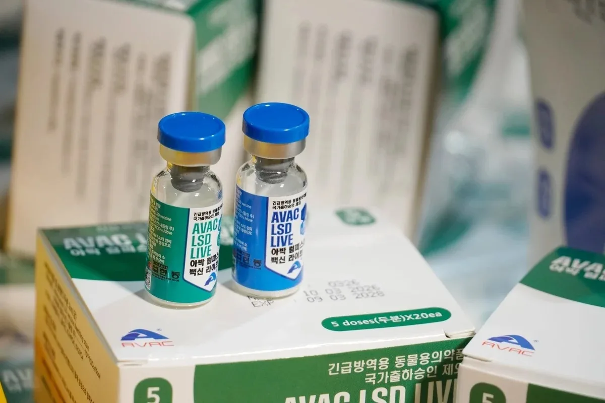 Việt Nam xuất khẩu 1,1 triệu liều vaccine viêm da nổi cục sang Hàn Quốc