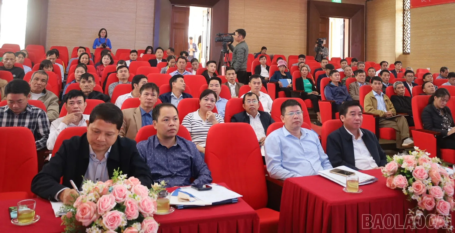 Triển khai giải pháp sử dụng vắc-xin phòng bệnh dịch tả lợn châu Phi