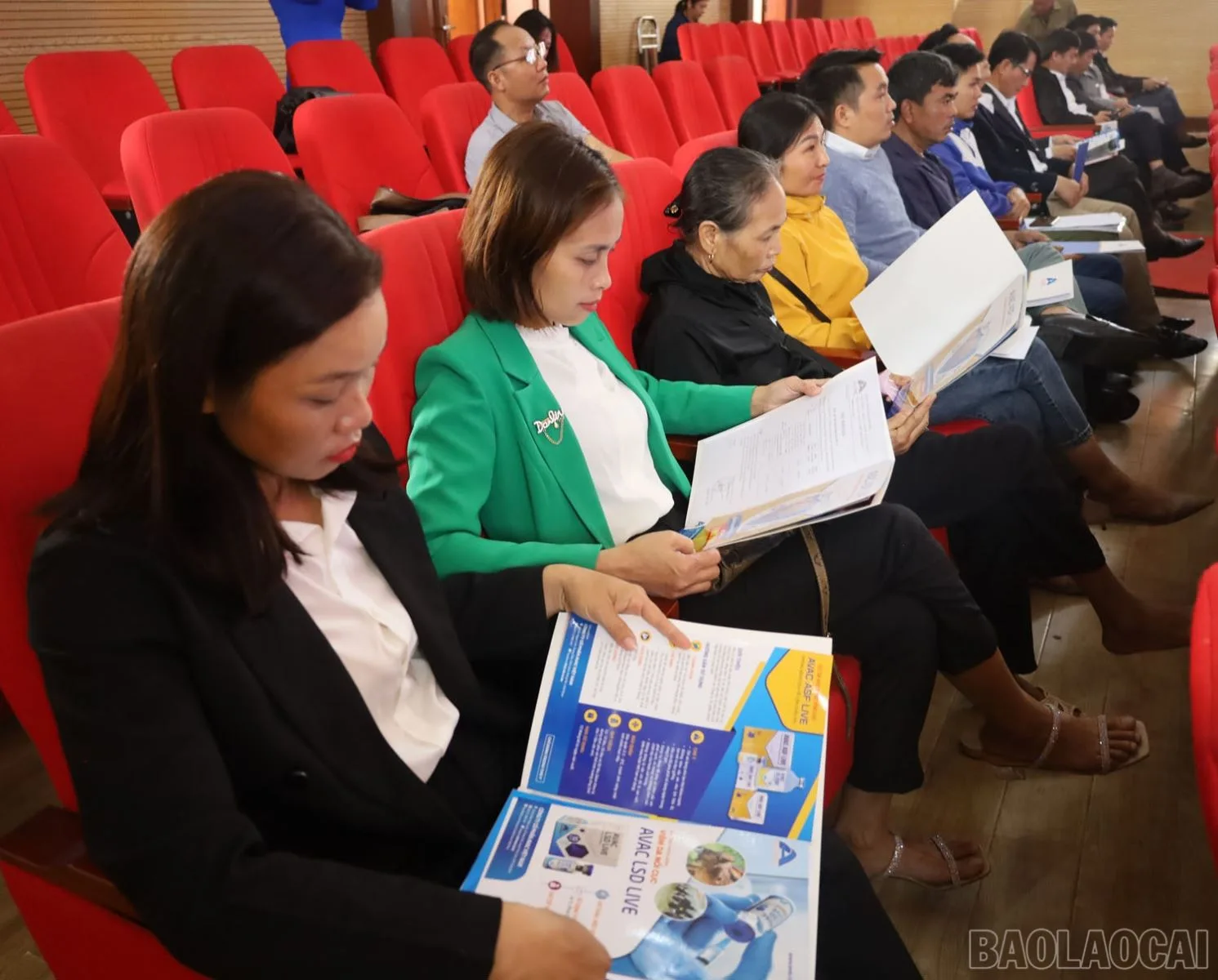 Triển khai giải pháp sử dụng vắc-xin phòng bệnh dịch tả lợn châu Phi