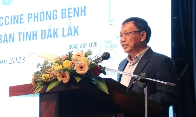 Tìm giải pháp phòng dịch tả lợn Châu Phi bằng vacxin