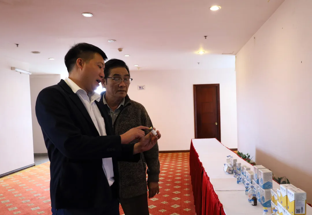 Tìm giải pháp sử dụng hiệu quả vắc-xin phòng bệnh dịch tả lợn châu Phi