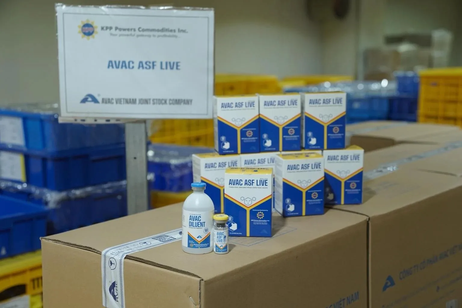 Vaccine AVAC ASF LIVE tiếp tục chứng minh được tính an toàn, hiệu quả cao về phòng dịch tả lợn châu Phi tại Philippines