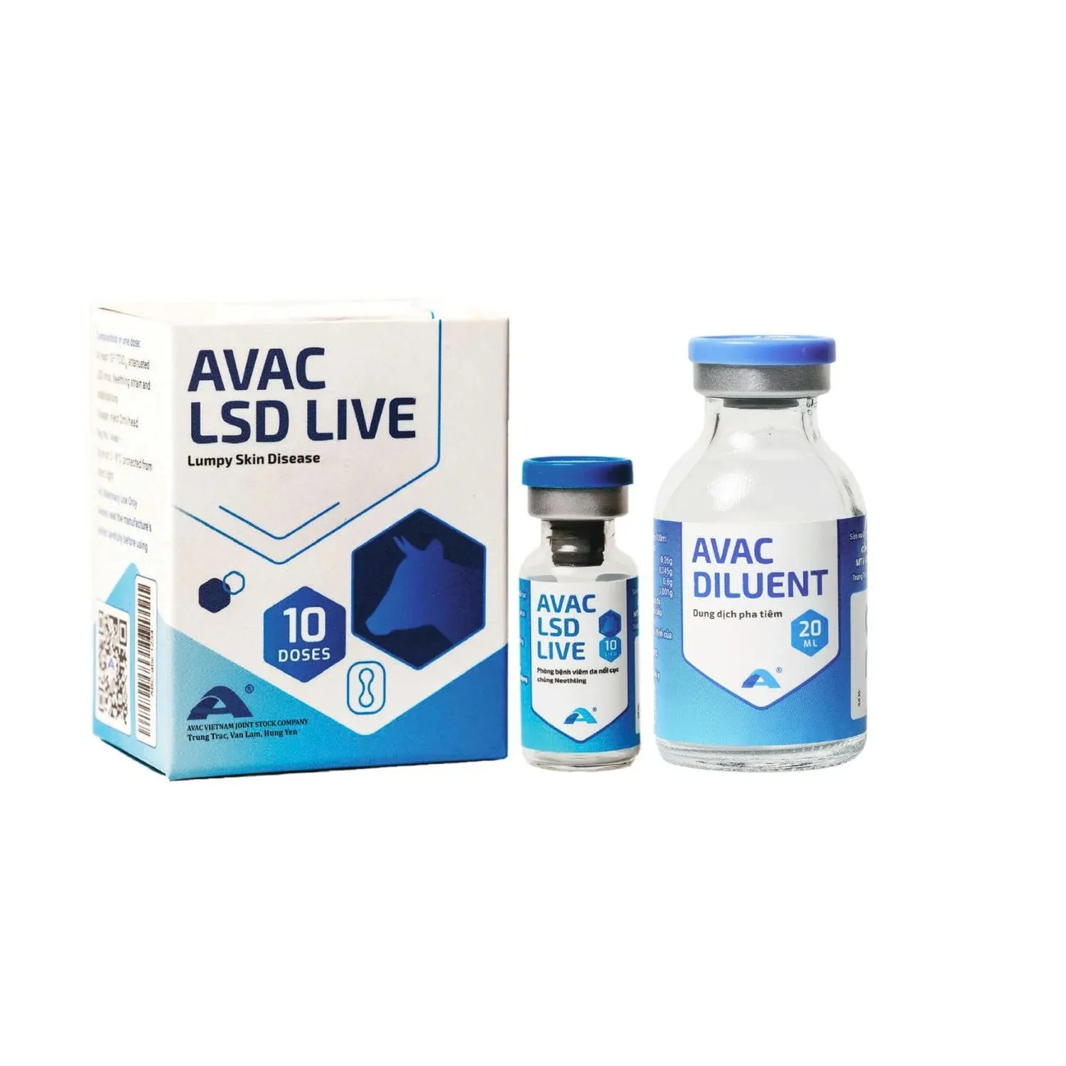 Chăn nuôi an toàn sinh học kết hợp tiêm AVAC LSD LIVE để kiểm soát hiệu quả bệnh viêm da nổi cục trên gia súc