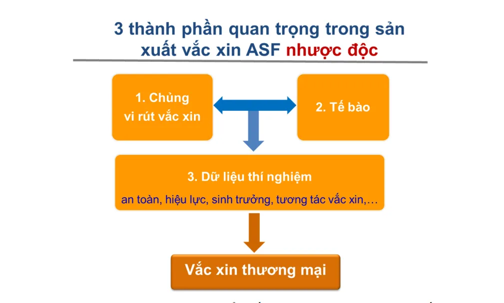 Nghiên cứu và sản xuất vắc-xin Dịch tả lợn châu Phi AVAC ASF LIVE