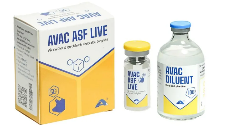 Nghiên cứu và sản xuất vắc-xin Dịch tả lợn châu Phi AVAC ASF LIVE