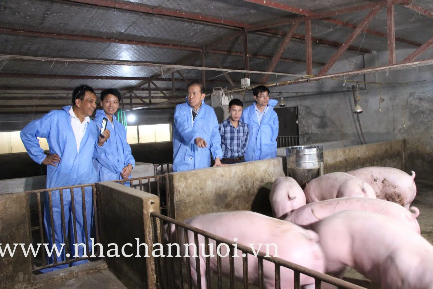 Nghiên cứu và sản xuất vắc-xin Dịch tả lợn châu Phi AVAC ASF LIVE