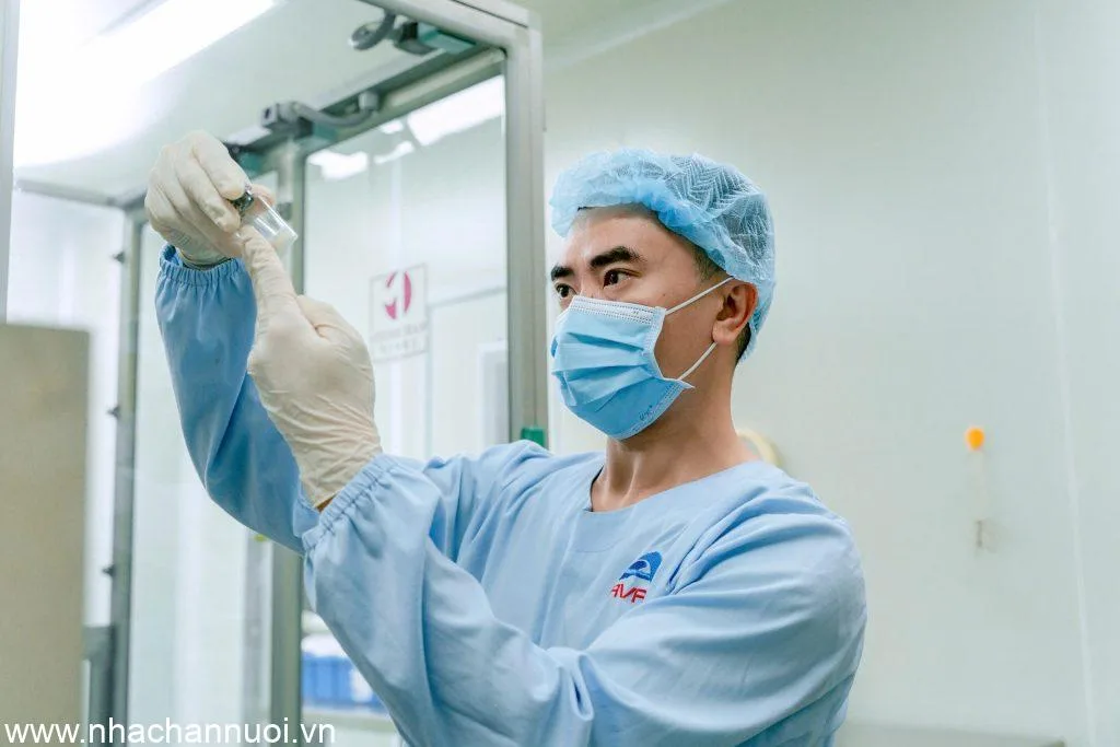 Nghiên cứu và sản xuất vắc-xin Dịch tả lợn châu Phi AVAC ASF LIVE
