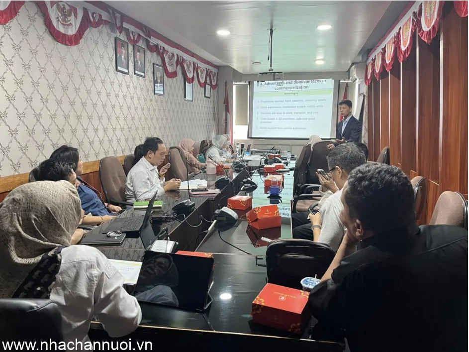 Indonesia chính thức phê duyệt lưu hành vaccine AVAC ASF LIVE