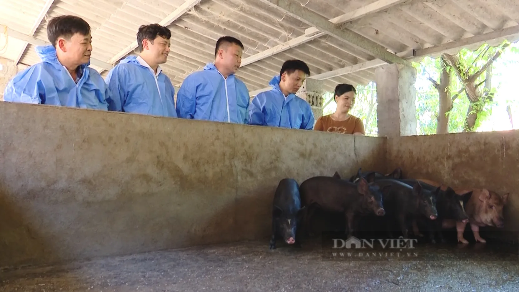 “Bão” Dịch tả lợn châu Phi quét qua: Nông dân Sơn La “mở lòng” với vắc xin mới, hiệu quả thấy rõ (Bài 4)